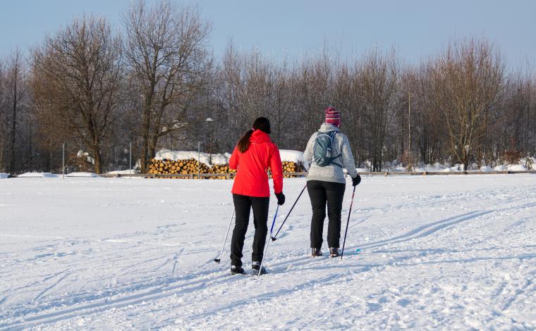 Ski de fond